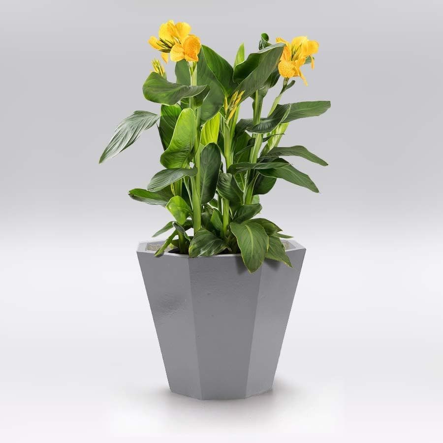 シルバー植木鉢