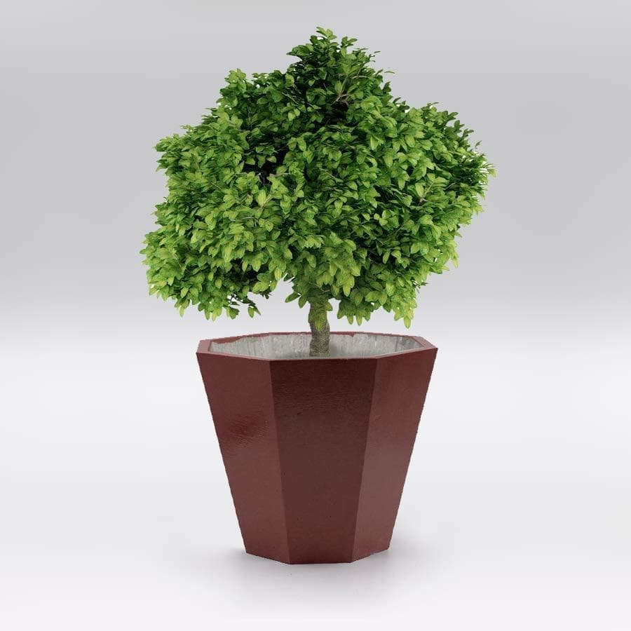 ブラウン植木鉢