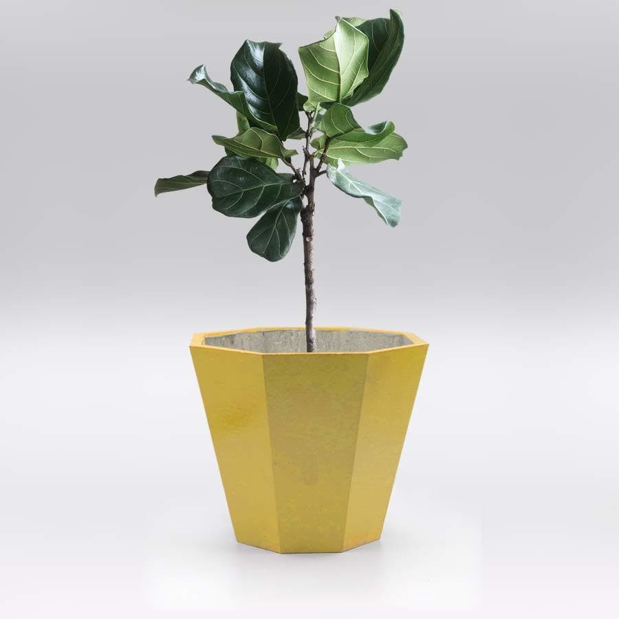 ゴールド　植木鉢